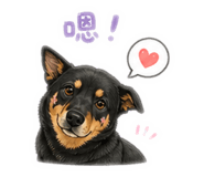 845616542