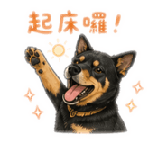 845616550