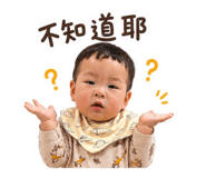 845616623