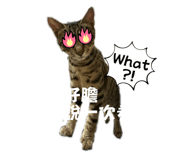 845617263