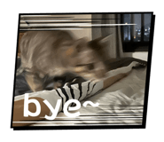 845617269