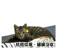 845617278