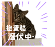 845617280