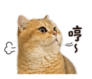 845617406