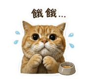 845617699