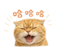 845617701
