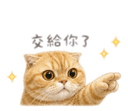 845617704