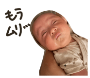 845617904