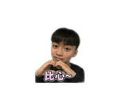 845618117