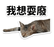 845618165