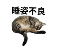 845618169