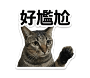 845618176