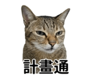 845618184