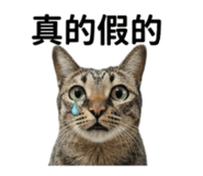 845618185