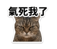 845618187
