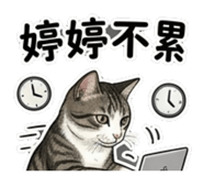 845618205