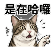 845618213