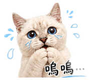 845618305