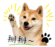 845618311