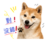 845618314