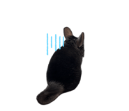 845618550