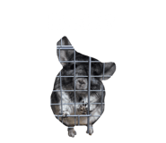 845618551