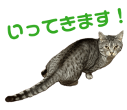 845618812