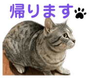 845618814