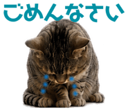 845618816