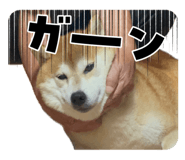 845618870