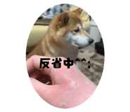 845618871