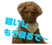 845619071