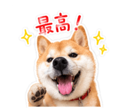 845619276
