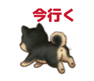 845619337