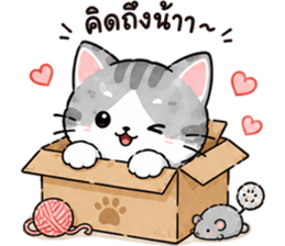 ลูกแมวเมี๊ยว❤️❤️❤️ รูปที่ 6