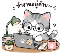 ลูกแมวเมี๊ยว❤️❤️❤️ รูปที่ 9
