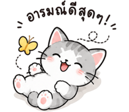 ลูกแมวเมี๊ยว❤️❤️❤️ รูปที่ 16