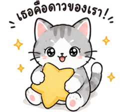 ลูกแมวเมี๊ยว❤️❤️❤️ รูปที่ 17