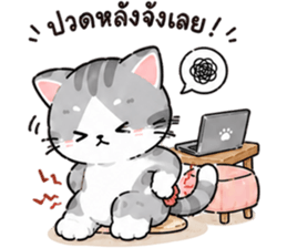 ลูกแมวเมี๊ยว❤️❤️❤️ รูปที่ 18