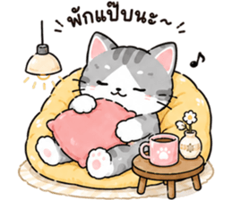 ลูกแมวเมี๊ยว❤️❤️❤️ รูปที่ 22