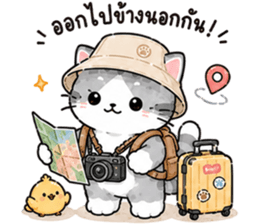 ลูกแมวเมี๊ยว❤️❤️❤️ รูปที่ 23