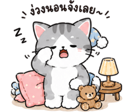 ลูกแมวเมี๊ยว❤️❤️❤️ รูปที่ 29