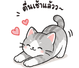 ลูกแมวเมี๊ยว❤️❤️❤️ รูปที่ 31