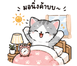 ลูกแมวเมี๊ยว❤️❤️❤️ รูปที่ 37