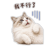 845624544
