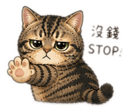 845625036