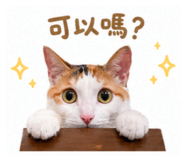 845625118