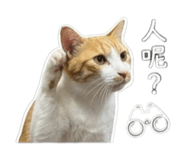845625305