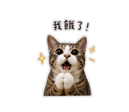 845625520