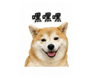 845625727